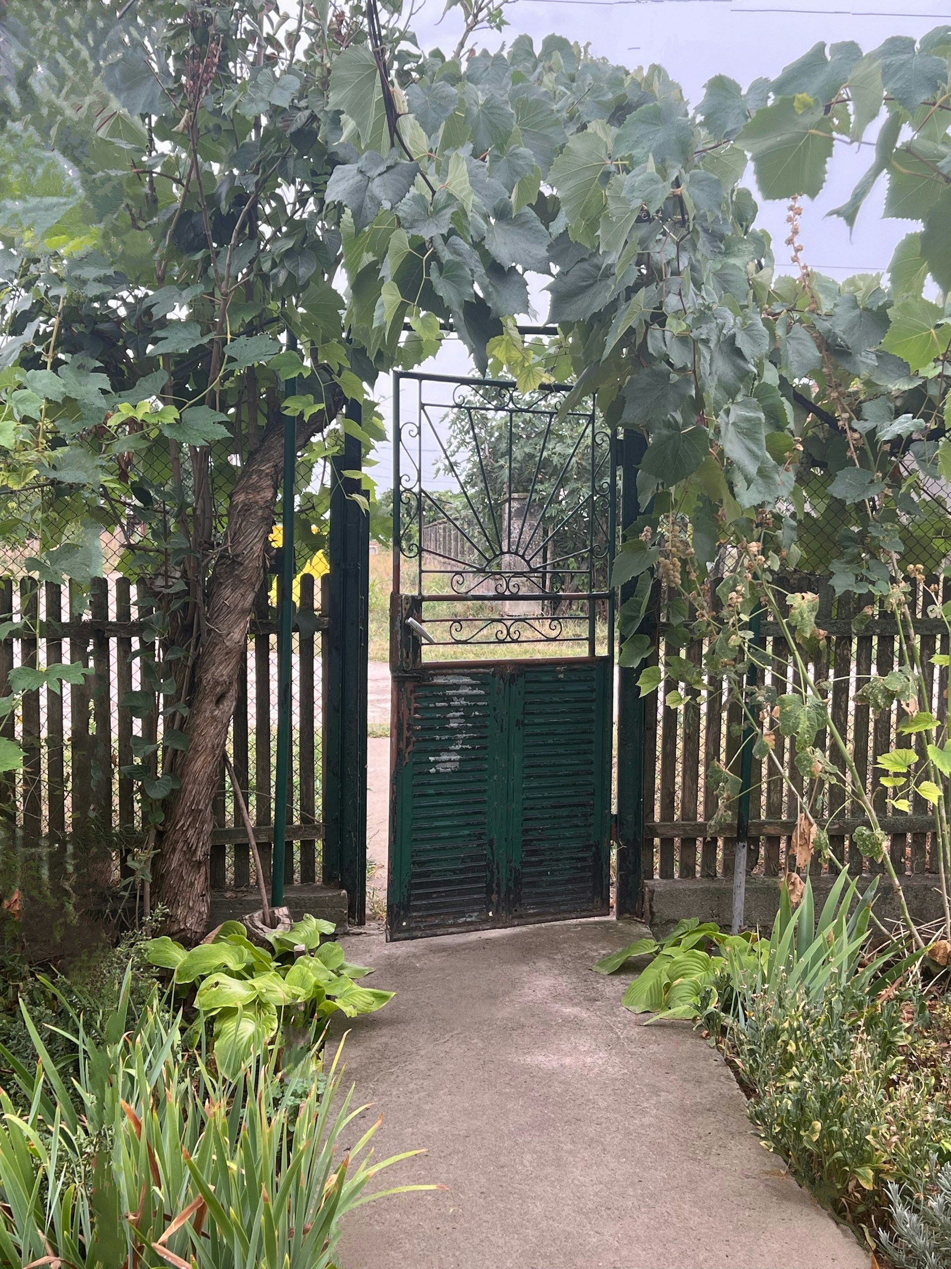 portillon fer forgé jardin